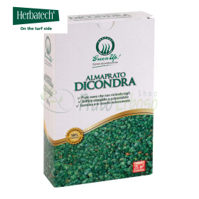 Almaprato Dicondra - Rasensamen 250 g