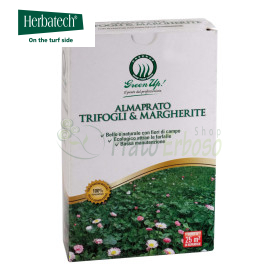 Almaprato Trèfles et Marguerites - Semences à gazon 250 g
