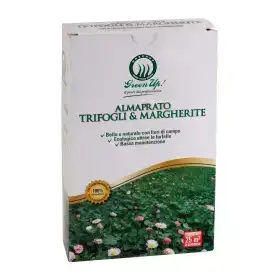 Almaprato Trifogli & Margherite - Sementi per prato da 250 g Herbatech - 1