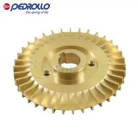 860GRPK623N - Peripheres Laufrad Pedrollo - 1