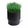 SOD CUP - sod holder