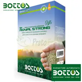 Royal Strong Plus - 1 kg de semillas para césped