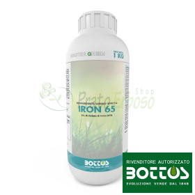 FIER 65 6 Fe - 1 kg îngrășământ lichid pentru gazon