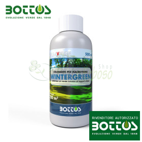 Wintergreen - 500 ml Teinture pour gazon vert printemps