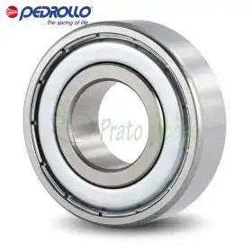 6305 - Rulment cu bile 25x62x17 mm Pedrollo - 1