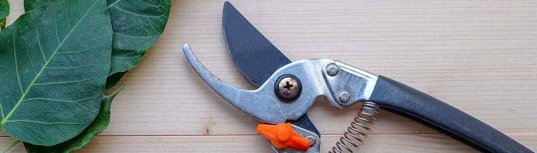 Foarfece manuale
