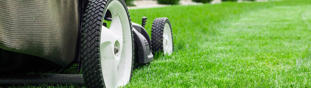 tondeuse à gazon