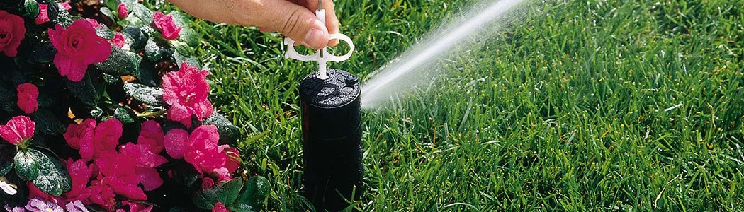 Rotation souterraine