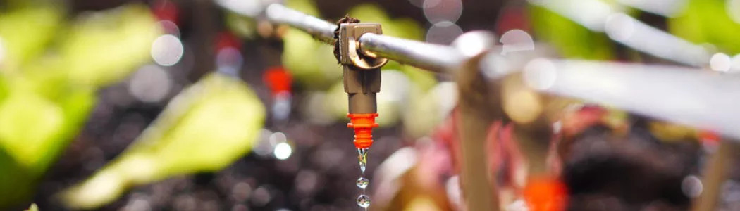 Micro-irrigation