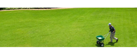 Kujdesi për lëndinën