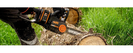 Kujdesi për pemët dhe bimët