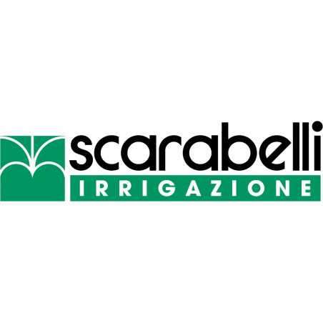 Scarabelli