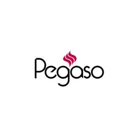 Pegaso
