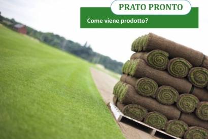 Ready to Roll Lawn: ¿cómo se produce?