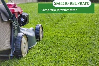 Cortar el césped: cómo hacerlo correctamente.