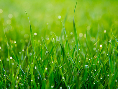 Calendario verde di marzo 2022