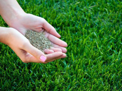 Calendario verde para abril de 2022