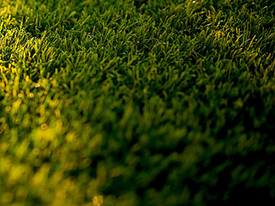 Calendario verde de junio de 2022