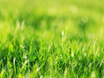 Calendarul Verde Septembrie 2022