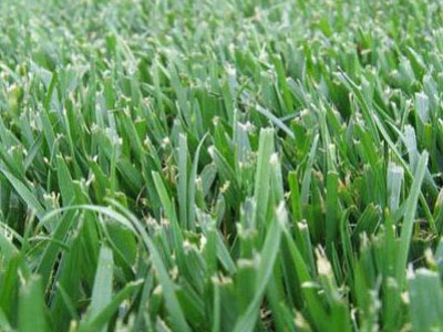 Calendarul Verde Septembrie 2023