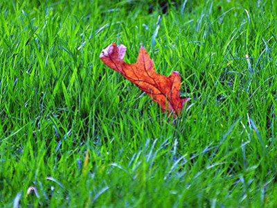 Calendarul Verde pentru octombrie 2023