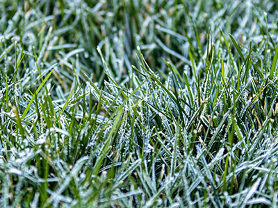 Fertilización antes del invierno