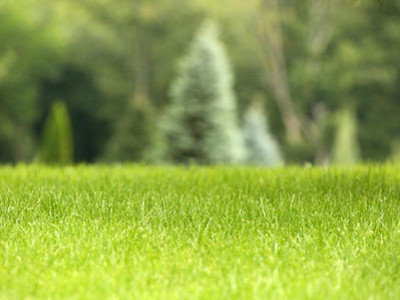 Grüner Kalender März 2025