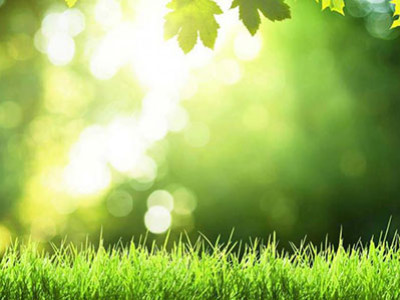 Grüner Kalender April 2025