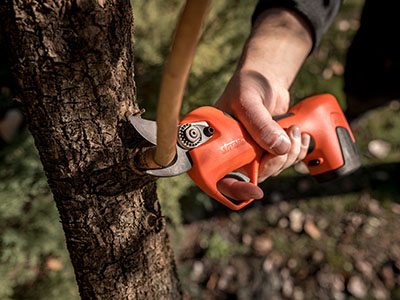 Guide to Cordless Pruning Shears