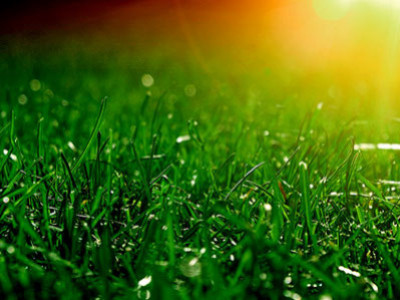 Green Calendar for May 2025