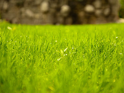 Calendario verde di giugno 2025