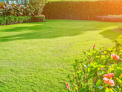 Calendario verde di luglio 2025