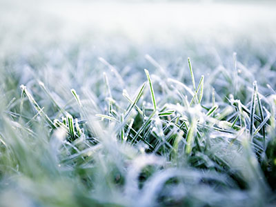 Calendario verde di febbraio 2026