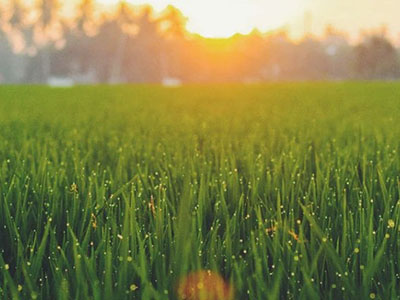 Calendario Verde para abril de 2026