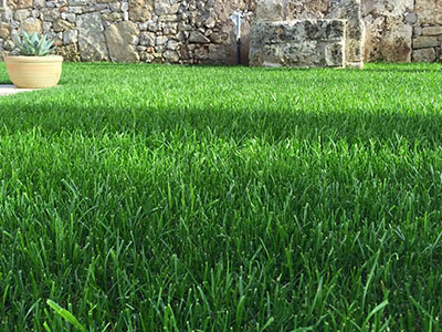 Calendario Verde para mayo de 2026